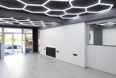 Spațiu comercial, de 130 mp, în Cantacuzino - 3
