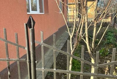 Casă cu 6 camere cu Teren 20000 Mp în Micula - 3