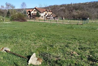 Spațiu comercial, în Sibiel - 3