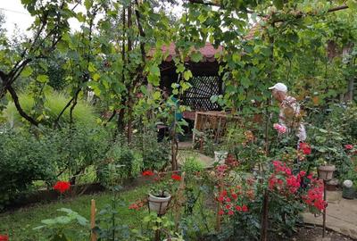 Casă cu 5 camere în Aluniș - 6