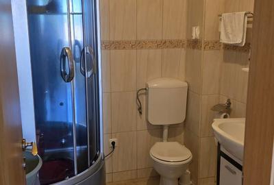 Apartament cu 2 camere decomandat în Lazaret - 4