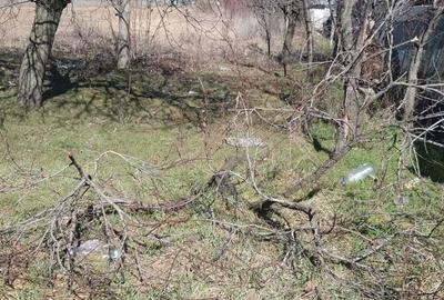 Spațiu comercial, în Ștefănești - 1