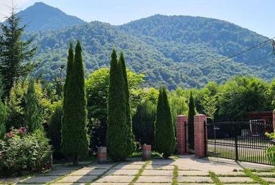 Casă cu 4 camere în Lepșa - 3