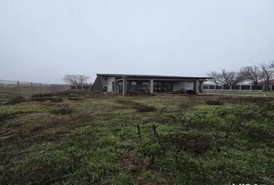 Casă cu 4 camere cu Teren 1700 Mp în Școlilor - 6