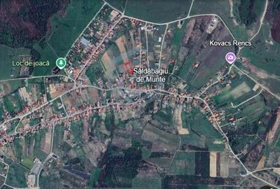 Teren intravilan Saldabagiu de Munte 1100m - 7