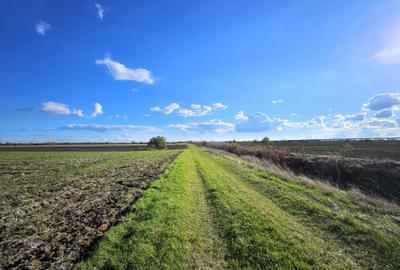 Teren Caciulati / 30.200 mp / D: 70 m / comision 0% Teren Caciulati / 30.200 mp / D: 70 m / comision 0% - 5