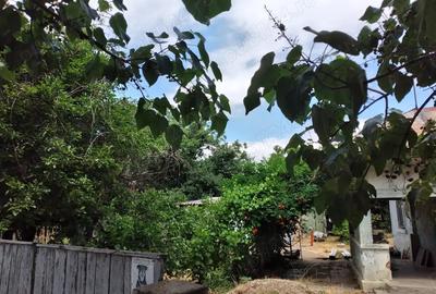 Casă cu 3 camere în Tecuci - 5