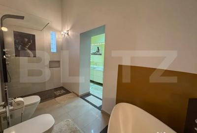 Apartament cu 3 camere semidecomandat în Iosefin