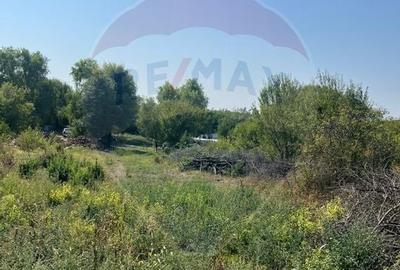 Teren de vanzare / 2,500 mp pe Malul Lacului Tancabesti /Ilfov - 5