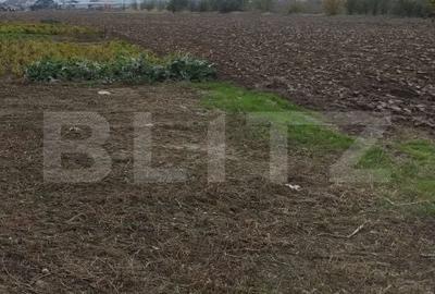 Teren de 3000 mp, în Ișalnița
