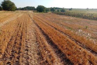 Spațiu comercial, în Ghimpați - 2