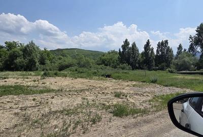 Teren de vânzare - 1.000 mp - Tărlungeni, zonă în dezvoltare - 2