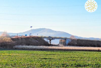 Teren intravilan 22800mp la 2km de Parcul Industrial Prejmer - 6