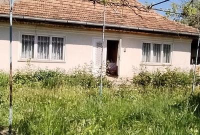 Vand casa cu gradina la Bode?tii de sus,str.Ciresului nr. 12. - 4