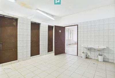 Hale 1800 mp fiecare – acces autostradă, Teiu, HD - 14