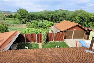 Casă individuală cu 8 camere cu Canalizare în Apoldu de Jos - 6