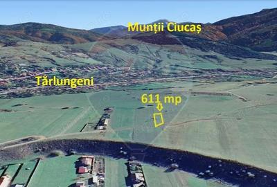 Teren de 611 mp, în Tărlungeni - 4