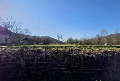 Teren de 4549 mp, în Gura Vitioarei - 5