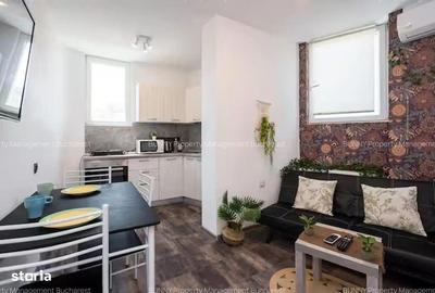 Apartament cu 5 camere, mobilat în Unirii - 3