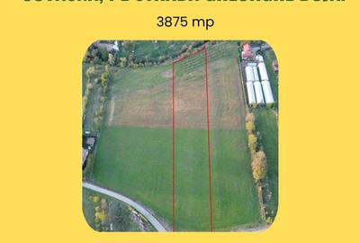 Teren agricol intravilan de 3875 mp, în Periferie - 1