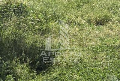 Casă individuală cu 4 camere cu Canalizare în Bazoș - 4