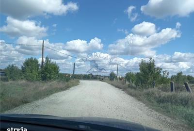 Teren de 20000 mp, în Pielești - 2