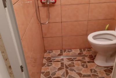 Garsonieră decomandată în Băile Herculane - 7