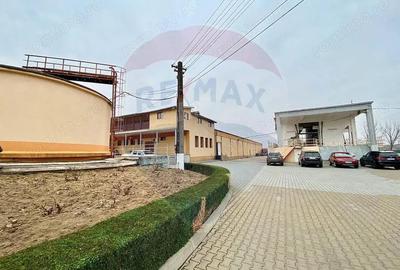 Crama din Buciumeni Afacere la cheie - 7