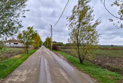 Teren intravilan, 1320 mp, la asfalt, in Balotesti - 1