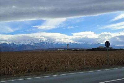 Teren 5000 mp langa E68 - 1