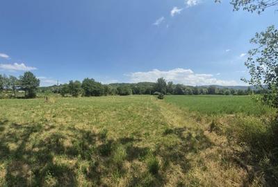 Berinta, 55 ari teren - 1