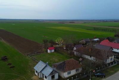 Casă cu 2 camere cu Teren 5800 Mp în Dumbrava - 5