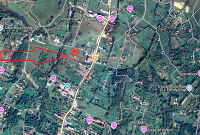 Teren Construcții intravilan de 4138 mp, în Sud - 7