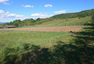 Teren intravilan pentru casa sau vacanta, Lunca, Baia de Cris Teren intravilan pentru casa sau vacanta, Lunca, Baia de Cris - 1