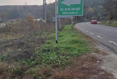 Teren de 1717 mp, în Mărgineni - 6