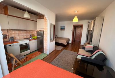 Garsonieră semidecomandată, mobilată în Baba Novac - 8