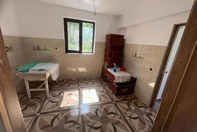 Casă în Dumitrești