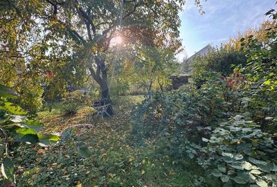 Casa / Vila cu 5 camere de inchiriat in zona Calea Romanului Casa / Vila cu 5 camere de inchiriat in zona Calea Romanului - 27