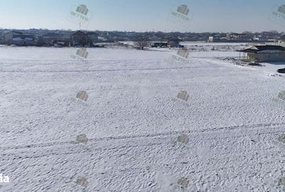 Teren de 9360 mp, în Berceni - 3