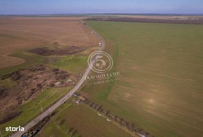 Spațiu comercial, în Nuci - 8