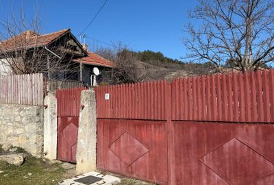 Casă cu 4 camere în Pietroasele - 1