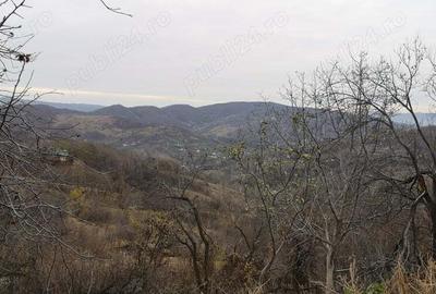 Casă cu 2 camere cu Teren 1000 Mp în Salcia - 3