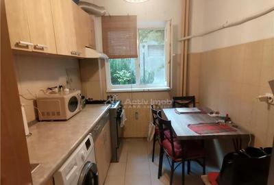 Teiul Doamnei, apartament 2 camere decom parter bloc 1982 - 6