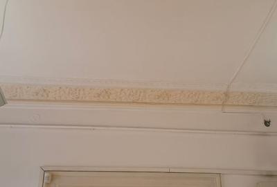 Casă cu 10 camere cu Teren 400 Mp în Armeneasca - 7