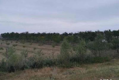 Casă cu 2 camere în Central - 5