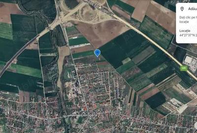Teren de 3600 mp, în Ciorogârla - 3