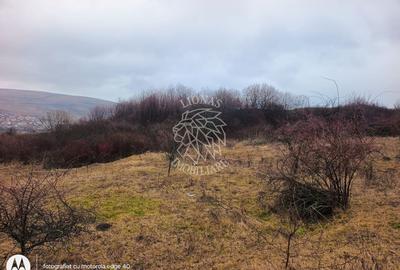 Teren agricol intravilan de 8500 mp, în Chinteni - 5