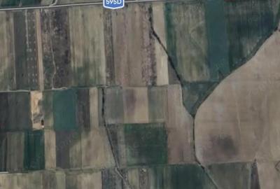 Teren de 6300 mp, în Moșnița Veche