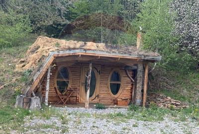 Casă cu 14 camere cu Teren 62330 Mp în Horea - 42