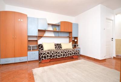 INCHIRIERE GARSONIERA DRISTOR - RACARI - LOC DE PARCARE - 8